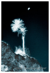 Blue Moon, Weka Pass, Canterbury